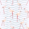 Pink flamingo seamless pattern on white background with blue wave curve lines. Bright wading exotic birds flock.