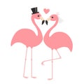 Pink flamingo set. Wedding couple. Exotic tropical bird. Black hat, veil, heart. Bride and groom. Happy Valentines Day. Cute Royalty Free Stock Photo