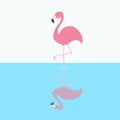 Pink flamingo standing on one leg. Circles on the water shadow. Exotic tropical bird. Zoo animal collection. Cute cartoon characte Royalty Free Stock Photo