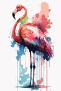 Pink flamingo. Tropical exotic bird rose flamingo with watercolor splashes on white