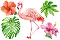 Pink Flamingo And Tropical Flora. Green Leaf, Hibiscus Flower Watercolor Botanical Painting