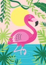 Pink flamingo in tropical nature