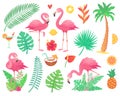 Pink flamingo and tropical plants. Beach palm, african plant leafs, rainforest flower, tropic palms leaf and rosy flamingos vector