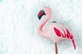 Pink flamingo on turquoise background with snow, selective focus top view