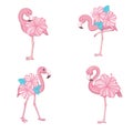 Pink flamingo vector cartoon flat set. Royalty Free Stock Photo