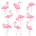 Pink flamingo vector cartoon illustration Royalty Free Stock Photo