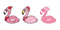 Pink flamingo vector Christmas Santa Claus hat Cartoon Cute flamingos collection character animal exotic nature wild fauna illustr Royalty Free Stock Photo