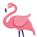 Pink flamingo vector illustration. Cute and beautiful flat pink flamingo on white background Royalty Free Stock Photo