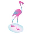 Pink flamingo vector illustration isolated on white background. Exotic tropical bird. Cute cartoon character. Decoration element. Royalty Free Stock Photo