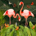 Pink flamingo in vector illustration.