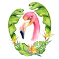 Pink flamingo watercolor hand drawn illustration in arrangement with green tropical plants, exotic monstera and banana leafs Royalty Free Stock Photo