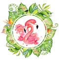 Pink flamingo watercolor hand drawn illustration in arrangement with green tropical plants, exotic monstera and banana leafs Royalty Free Stock Photo