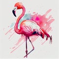 Pink flamingo, watercolor splashes, colorful paint drops. Beautiful illustration isolated on white background. Royalty Free Stock Photo