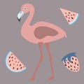 Pink Flamingo with watermelons and strawberry. Retro Style Royalty Free Stock Photo