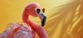 Pink Flamingo Wearing Sunglasses