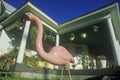 Pink Flamingo yard ornament, Mottville, MI