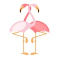 Pink flamingoes pair, love illustration, two loving birds, vector