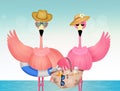 Pink flamingos on the beach Royalty Free Stock Photo