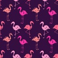 Pink flamingos birds seamess pattern