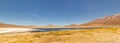 Pink flamingos at Canapa Lagoon, in Bolivia