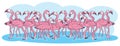 Pink flamingos cartoon illustration Royalty Free Stock Photo