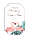 Pink flamingos couple wedding invitation frame Royalty Free Stock Photo