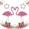 Pink flamingos and Elements for designing invitations, cards, prints, vector set.