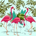 Pink Flamingos Exotic Birds