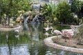 Pink flamingos on the lake with a waterfall in bird park