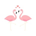 Pink flamingos love concept. Couple of two cute flamingo with hearts