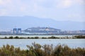 Pink flamingos and other birds walk in the water of the Mediterranean sea on the island of Sardinia, Italy. Behind them is the Royalty Free Stock Photo