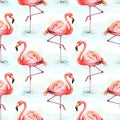 Pink Flamingos Pattern on White Background Royalty Free Stock Photo