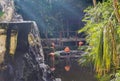 Pink flamingos in pond lake in luxury resort in Mexico Royalty Free Stock Photo