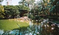 Pink Flamingos in Hong Kong