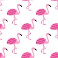 Pink flamingos seamless pattern on white background. Standing posture. Zoo bird park. Vector design illustration. Royalty Free Stock Photo