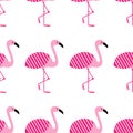 Pink flamingos seamless pattern on white background. Standing posture. Zoo bird park. Vector design illustration. Royalty Free Stock Photo