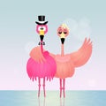 Pink flamingos spouses