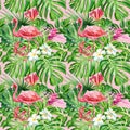 Pink flamingos, tropical birds. Tropical seamless pattern of monstera leaves and flowers, watercolor illustration.