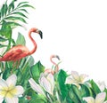 Pink flamingos among tropical palm leaves, monstera and plumeria flowers. Watercolor illustration. Banner from the BEACH Royalty Free Stock Photo