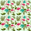 Pink Flamingos Vector illustration. Decorative design elements. Exotic Bird. Flamingo Shapes. Royalty Free Stock Photo