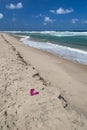 Pink flip-flops on deserted beach