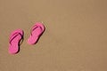 Pink flip-flops on yellow sand at the water`s edge on the beach