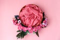 Pink Floral Digital Newborn Backdrop Royalty Free Stock Photo