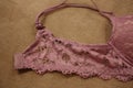 Pink floral lace of straps and hooks of women bra. Royalty Free Stock Photo