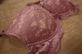 Pink floral lace T-shirt bra. Royalty Free Stock Photo