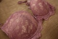 Pink floral lace women luxury push up bra shot with macro mode.