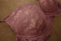 Pink floral lace women luxury push up bra shot with macro mode.