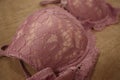 Pink floral lace women luxury push up bra shot with macro mode. Royalty Free Stock Photo