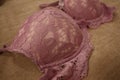 Pink floral lace women luxury push up bra shot with macro mode. Royalty Free Stock Photo