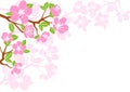 Pink floral patterns